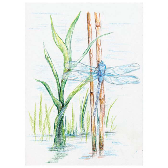 BOJE DRVENE-VODENE  24BOJE AQUARELL DESIGN JOURNEY STAEDTLER 14610C C24 BLISTER