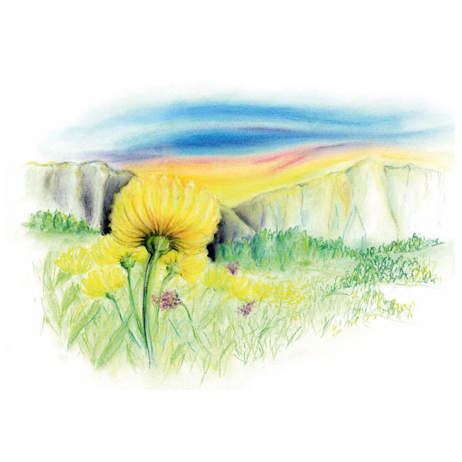 Pastela suha 24boja design journey staedtler 2430 c24 blister