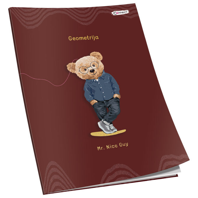 OBRAZAC ŠKOLSKI GEOMETRIJA SOFT PLUS  CONNECT GIRL