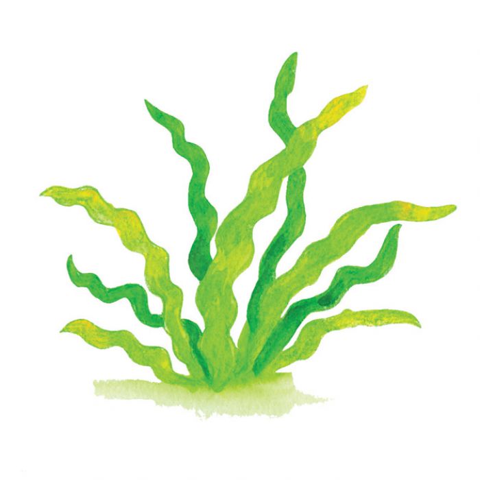 BOJE DRVENE-VODENE  24BOJE PLUS KIST AQUARELL FABER-CASTELL 114425 BLISTER