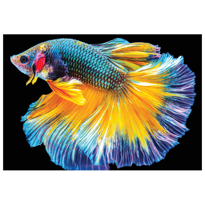 PUZZLE 250 KOM COLORFUL NATURE 6 FISH INTERDRUK