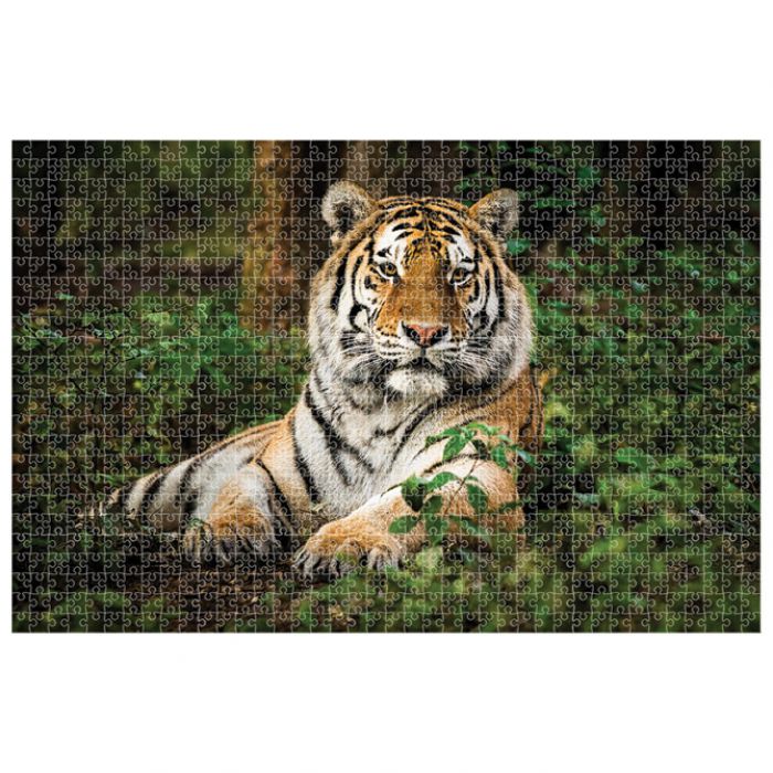 PUZZLE 1000 KOM ANIMAL PLANET TIGAR DIAKAKIS 000570698