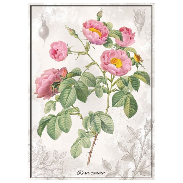 PUZZLE 1000 KOM TUBA BOTANIC ROSE INTERDRUK