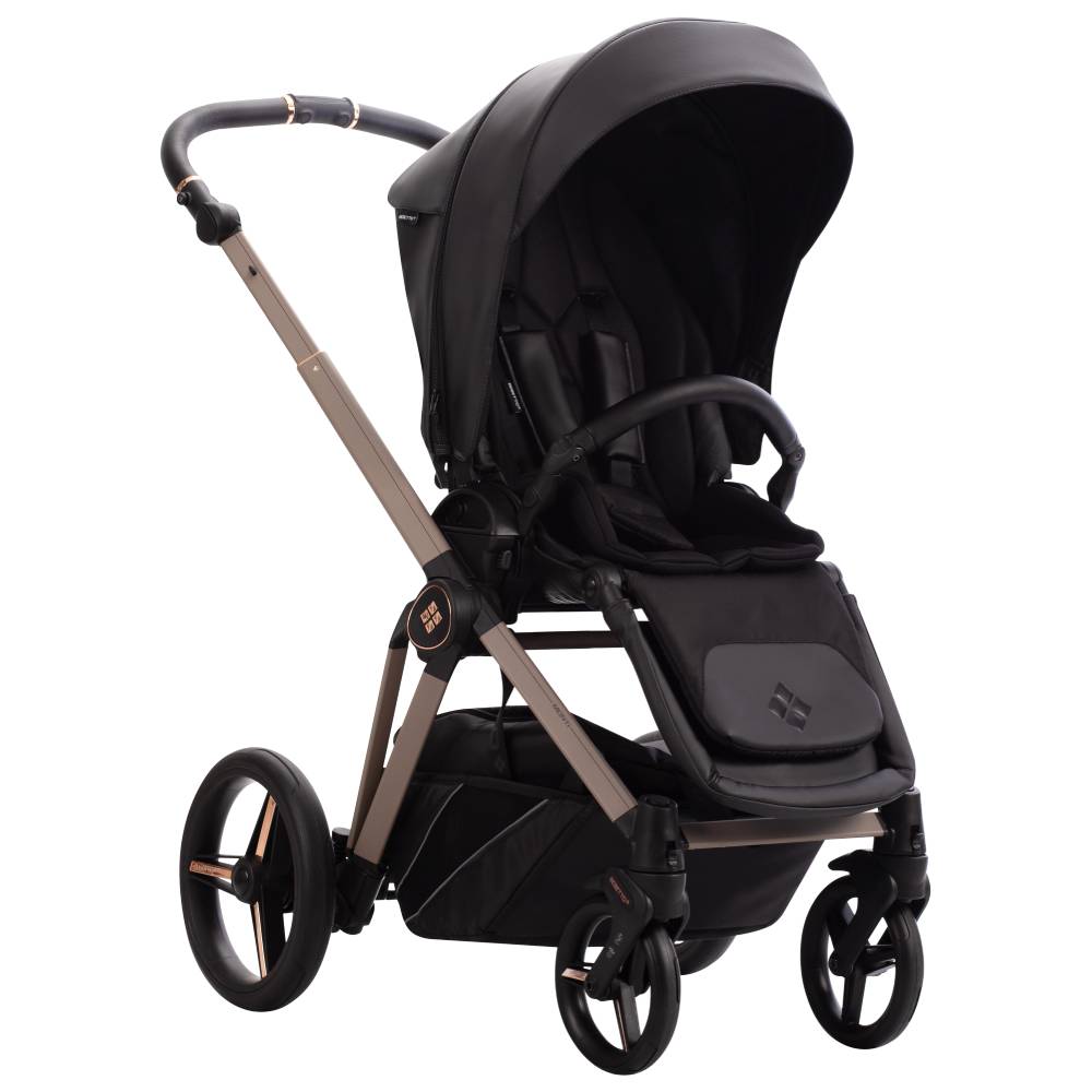Dječja kolica Bebetto Monti Pro 01/Cashmere 3u1 B