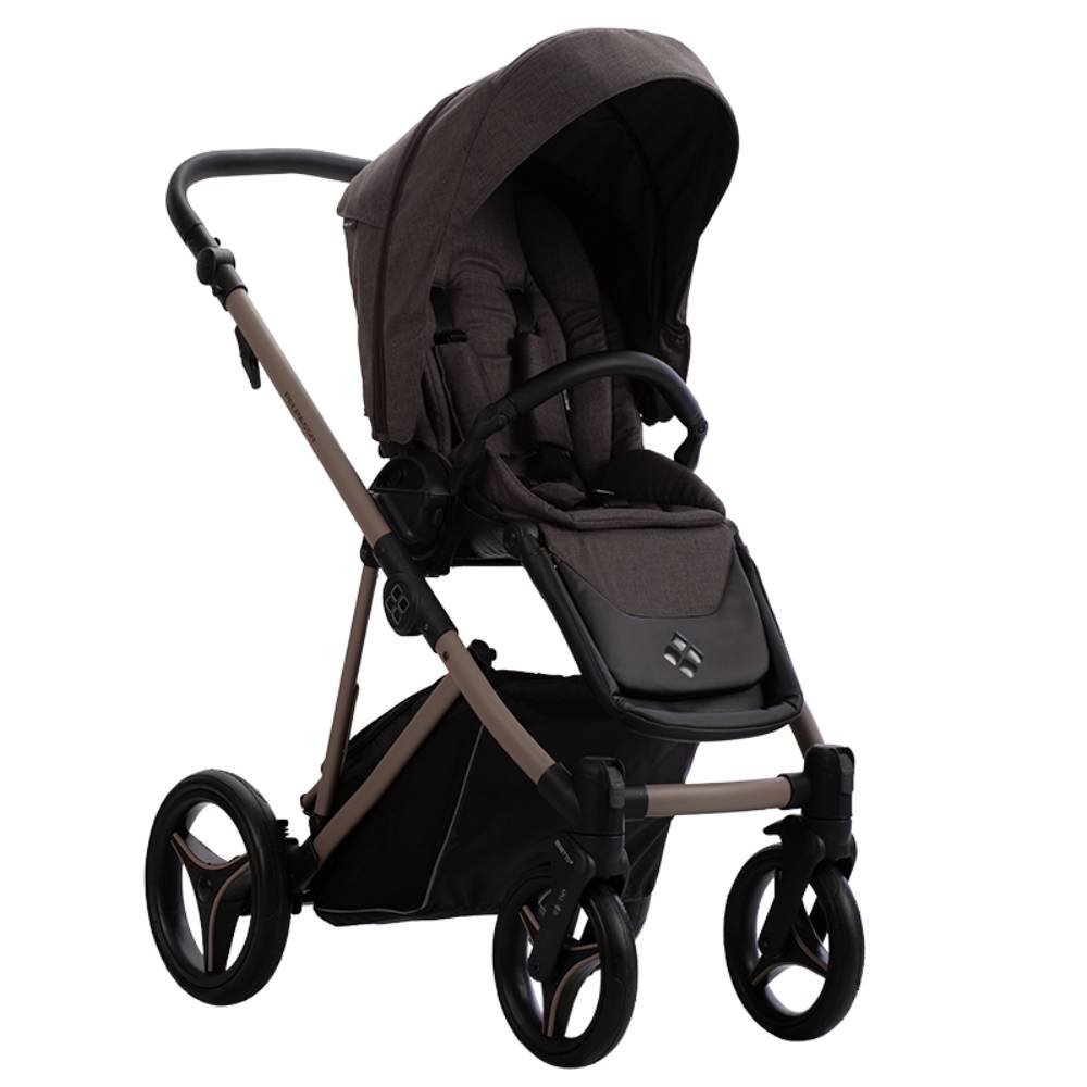 Dječja kolica Bebetto Pelpasso 03/Cashmere 4u1 B