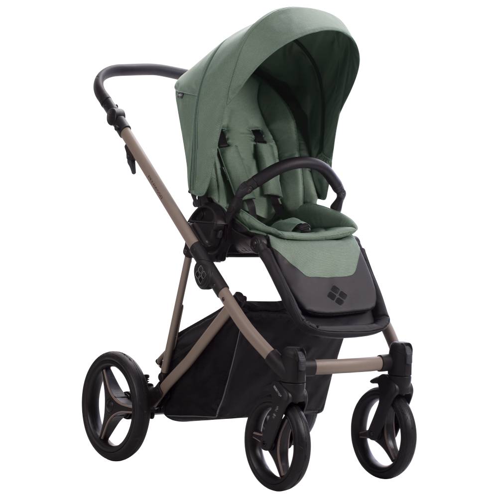 Dječja kolica Bebetto Pelpasso 05/Cashmere 2u1