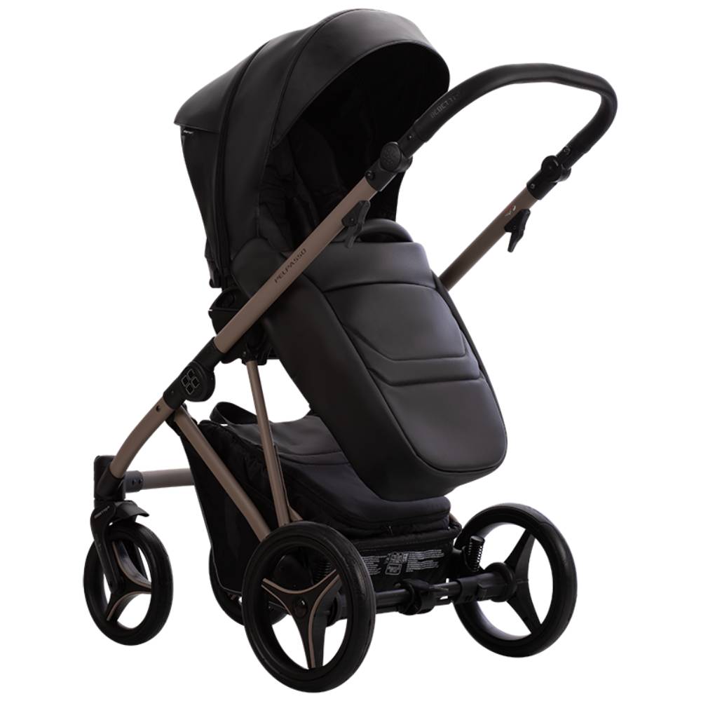 Dječja kolica Bebetto Pelpasso PRO 03/Cashmere 2u1
