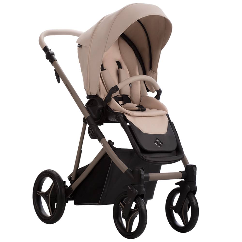 Dječja kolica Bebetto Pelpasso PRO 02/Cashmere 2u1