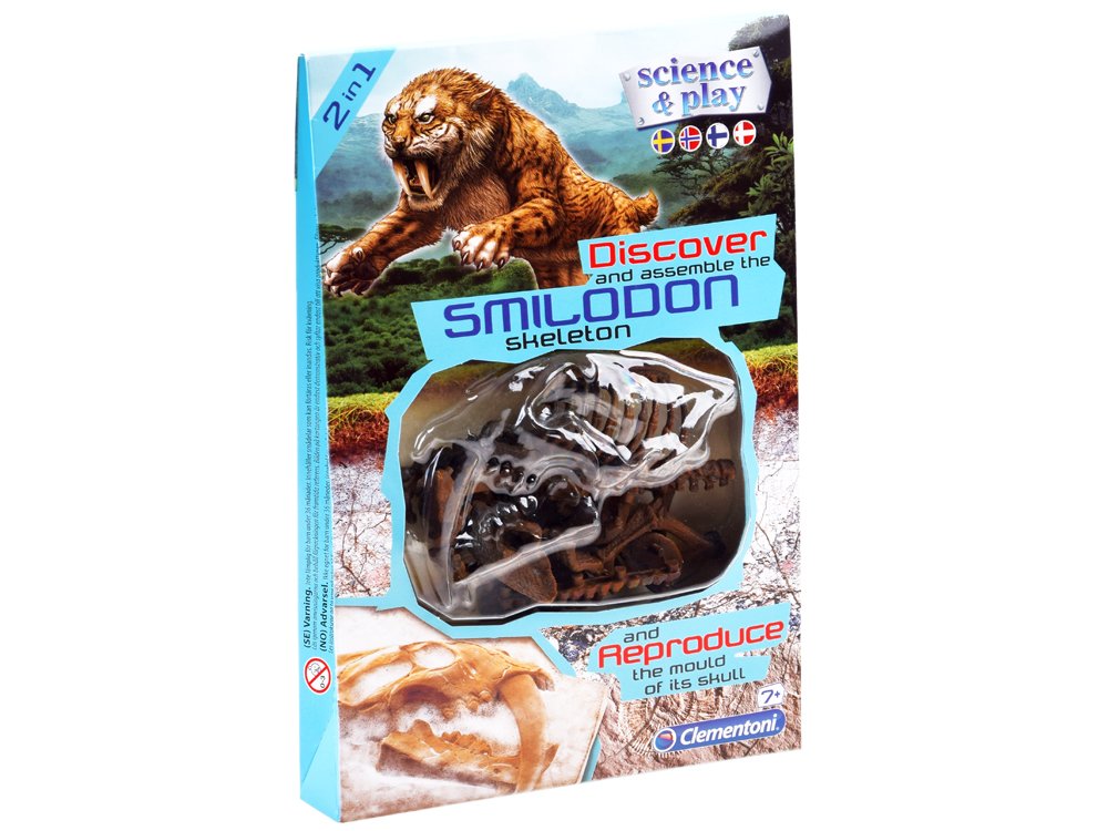 Set skeleta sabljozubog tigra – Smilodon