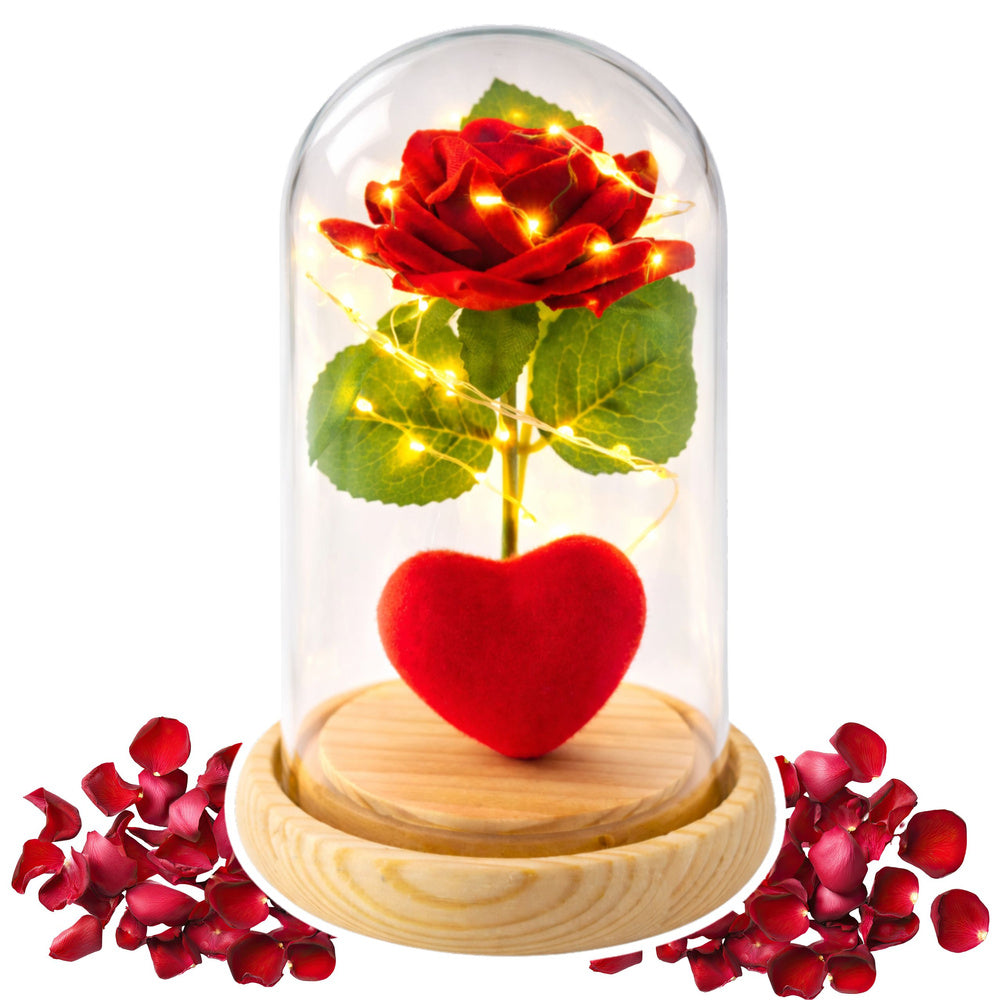 Eternal Rose in Dome with LED Lighting Red with Heart 14x8cm