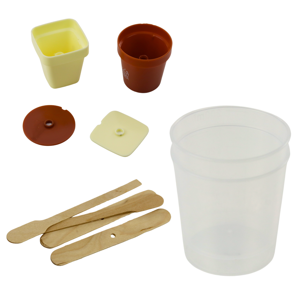 Edukativni set za uzgoj kristalnog drva