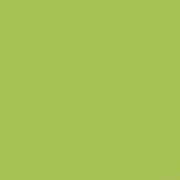 Beetle Green 27104 PE