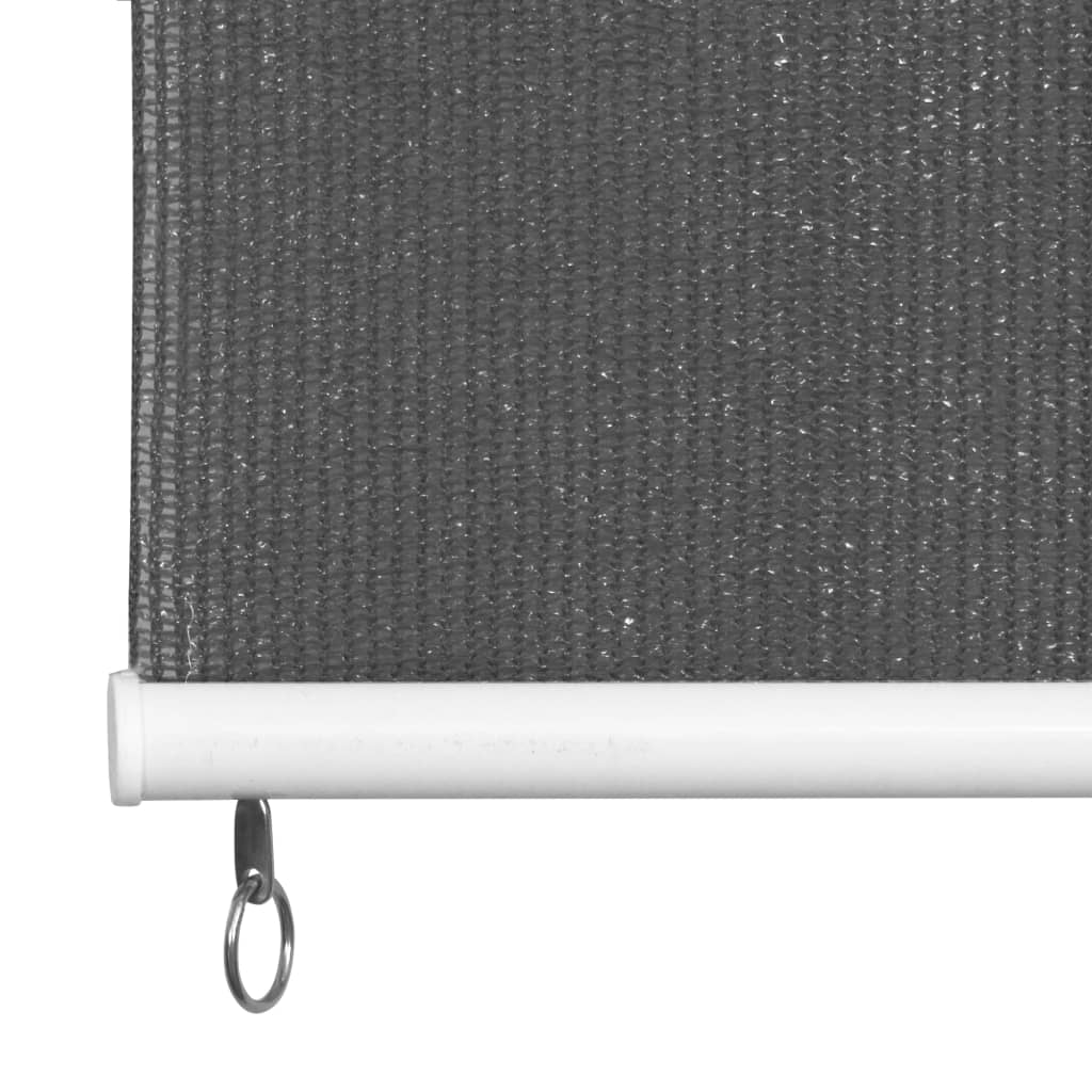 Vanjsko Sjenilo za Zatamnjivanje 100x230 cm Antracit