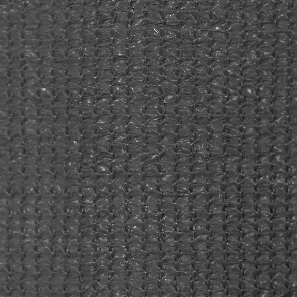 Vanjsko Sjenilo za Zatamnjivanje 160x230 cm Antracit