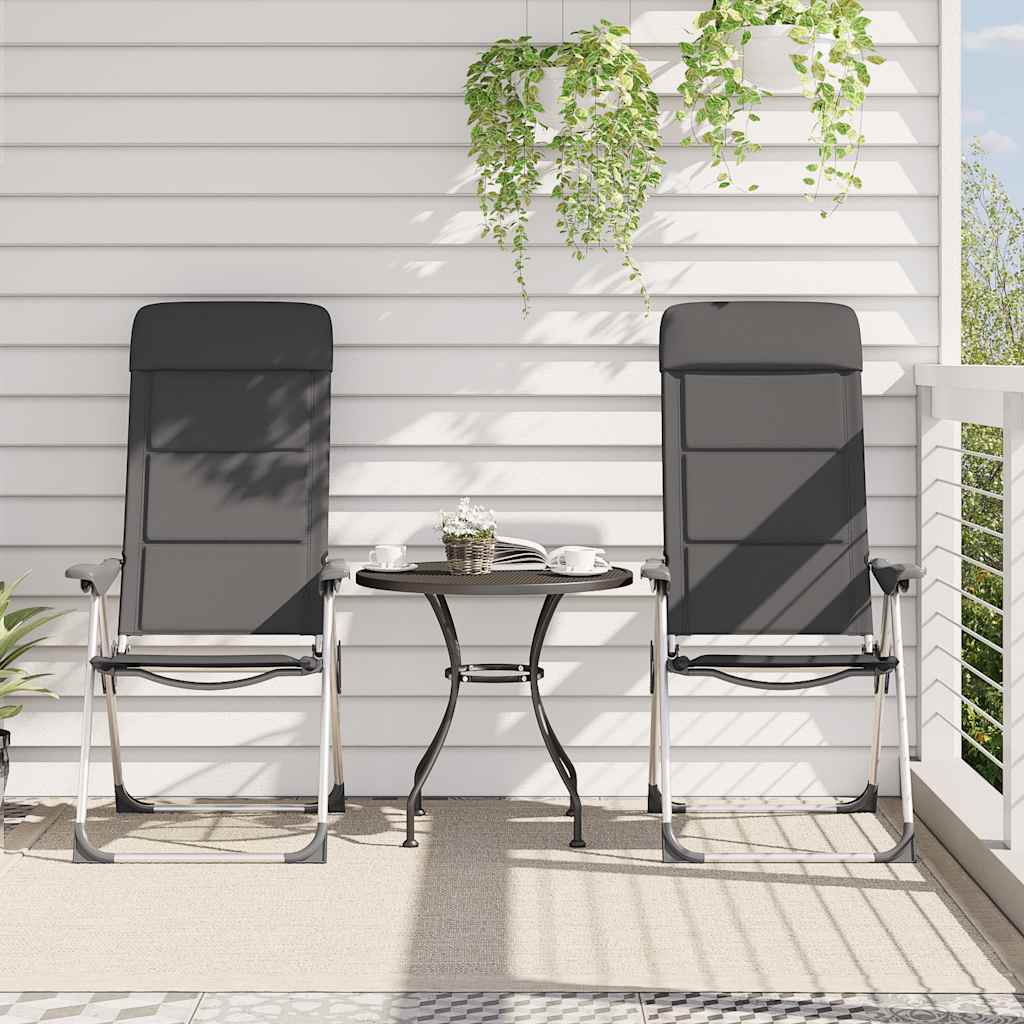 Stolice za kampiranje 2 kom sive 58 x 69 x 111 cm aluminijske