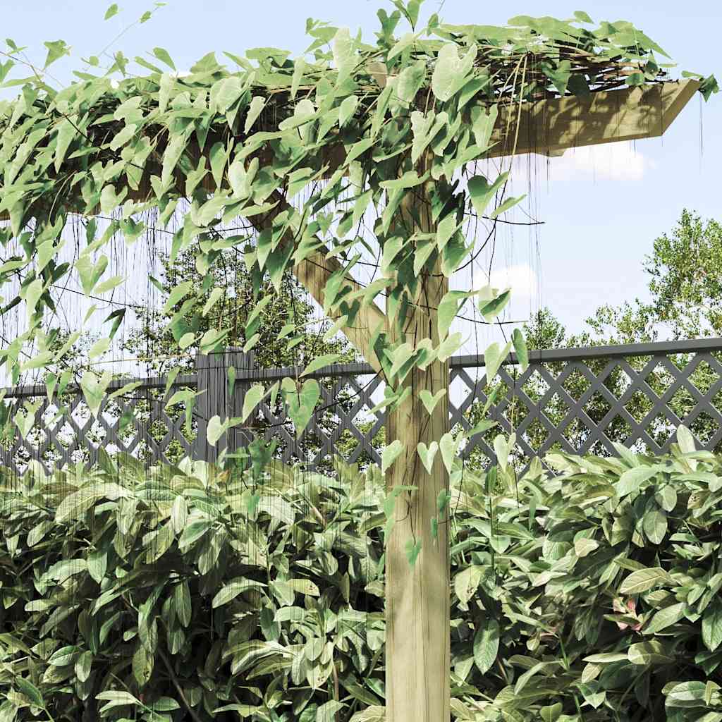 Vrtna pergola 205 x 40 x 203 cm drvena