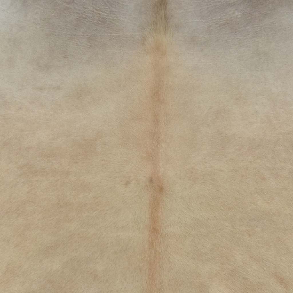 Tepih od prave kravlje kože 150 x 170 cm bež