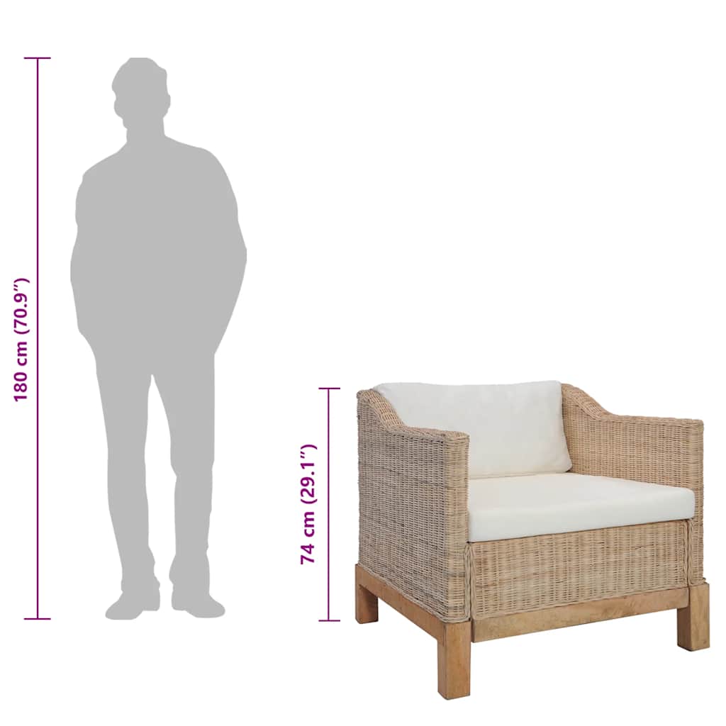 2-dijelni set sofa od prirodnog ratana s jastucima