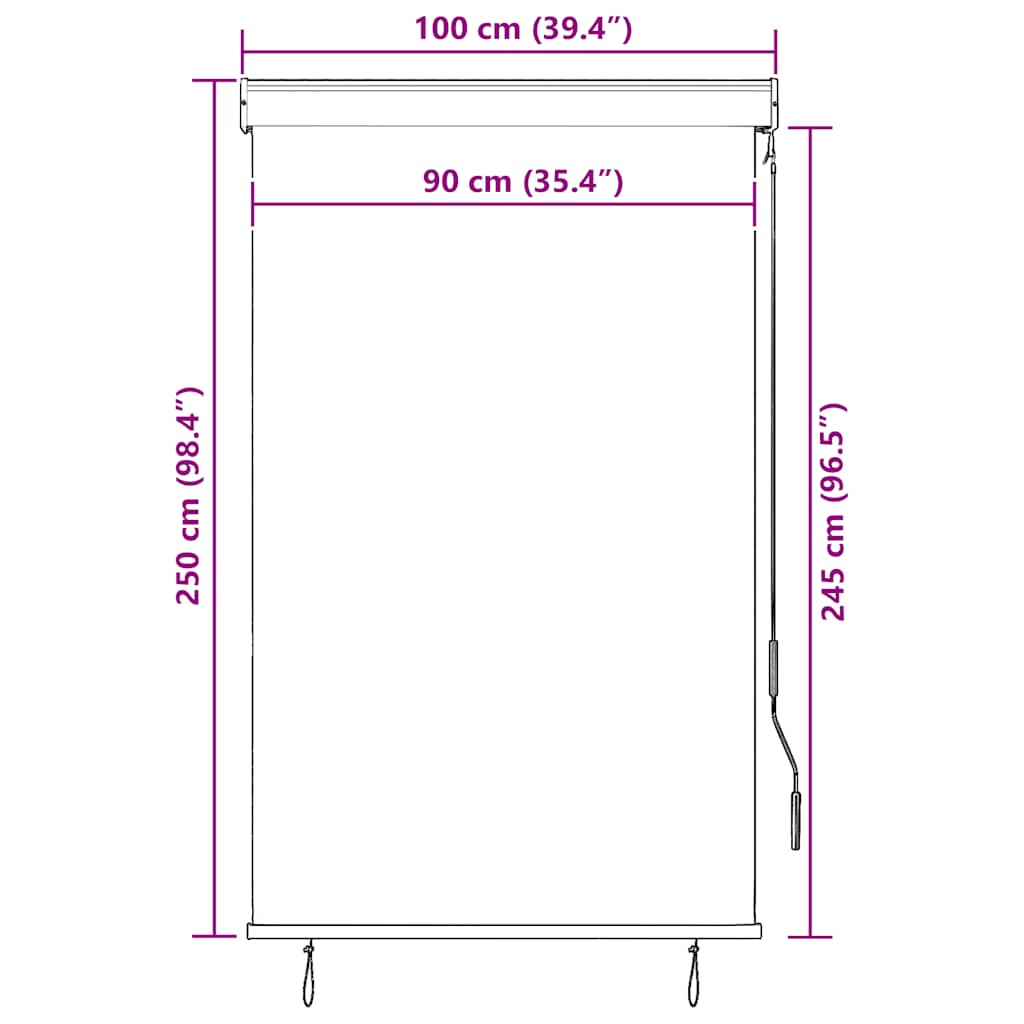 Vanjska roleta 100 x 250 cm antracit