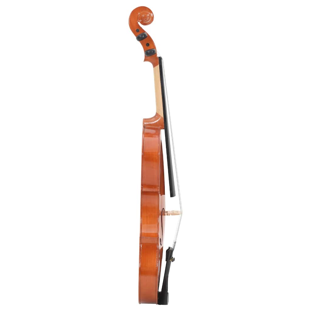 Kompletni violinski set s gudalom i podbratkom Natural 4/4