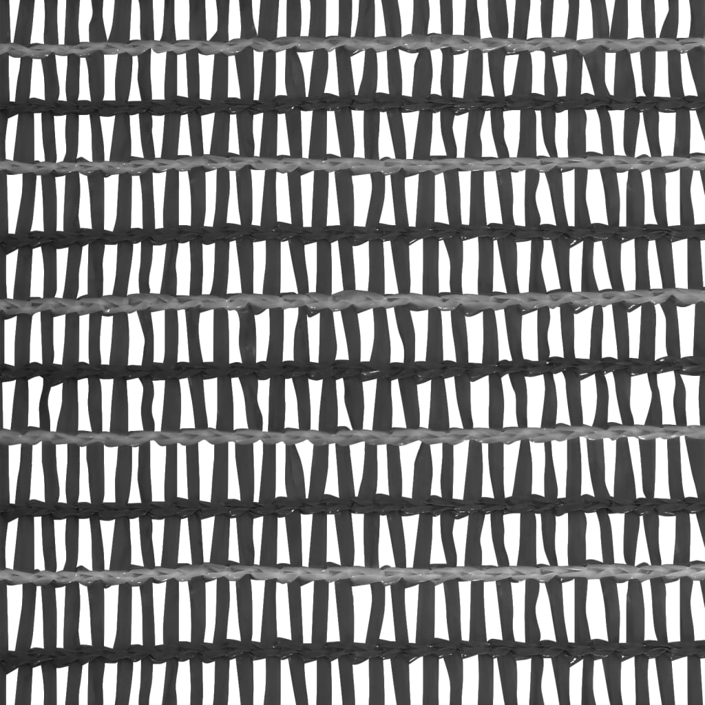 Mreža za privatnost antracit 2 x 25 m HDPE 75 g/m²