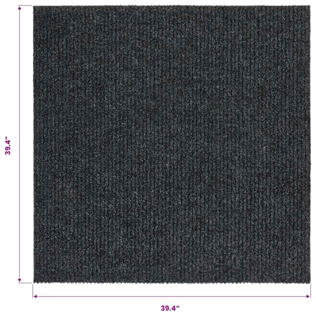 Dugi tepih za hvatanje nečistoće 100 x 100 cm antracit