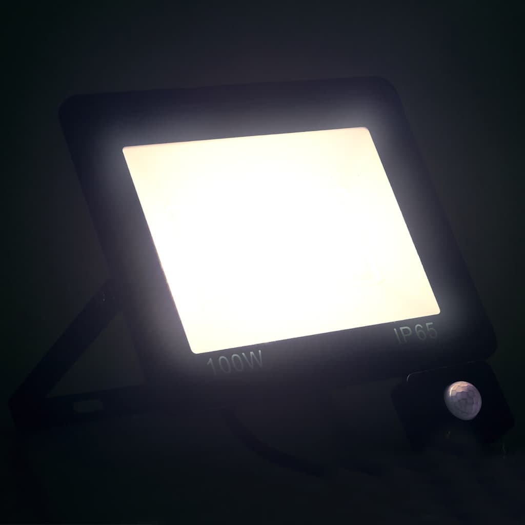 LED reflektor sa senzorom 100 W hladni bijeli