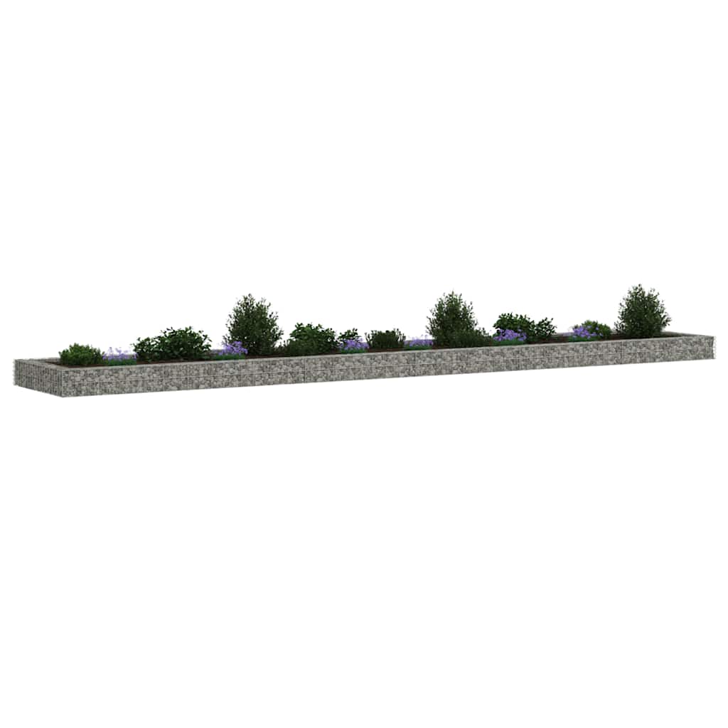 Gabionska povišena gredica od pocinčanog čelika 600x100x20 cm