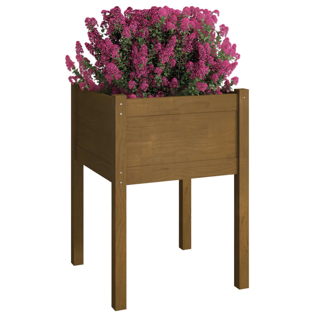 Vrtne sadilice 2 kom boja meda 50 x 50 x 70 cm masivna borovina