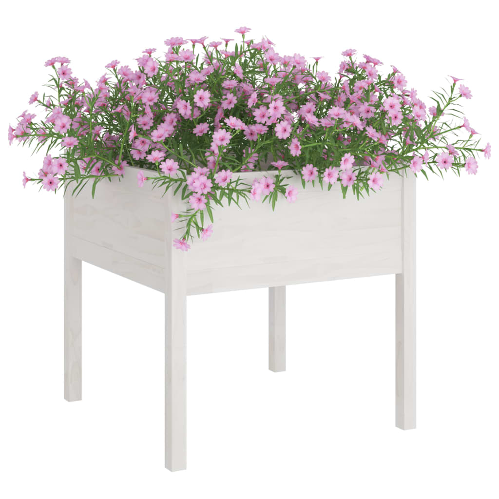 Vrtne sadilice 2 kom bijele 70 x 70 x 70 cm od masivne borovine