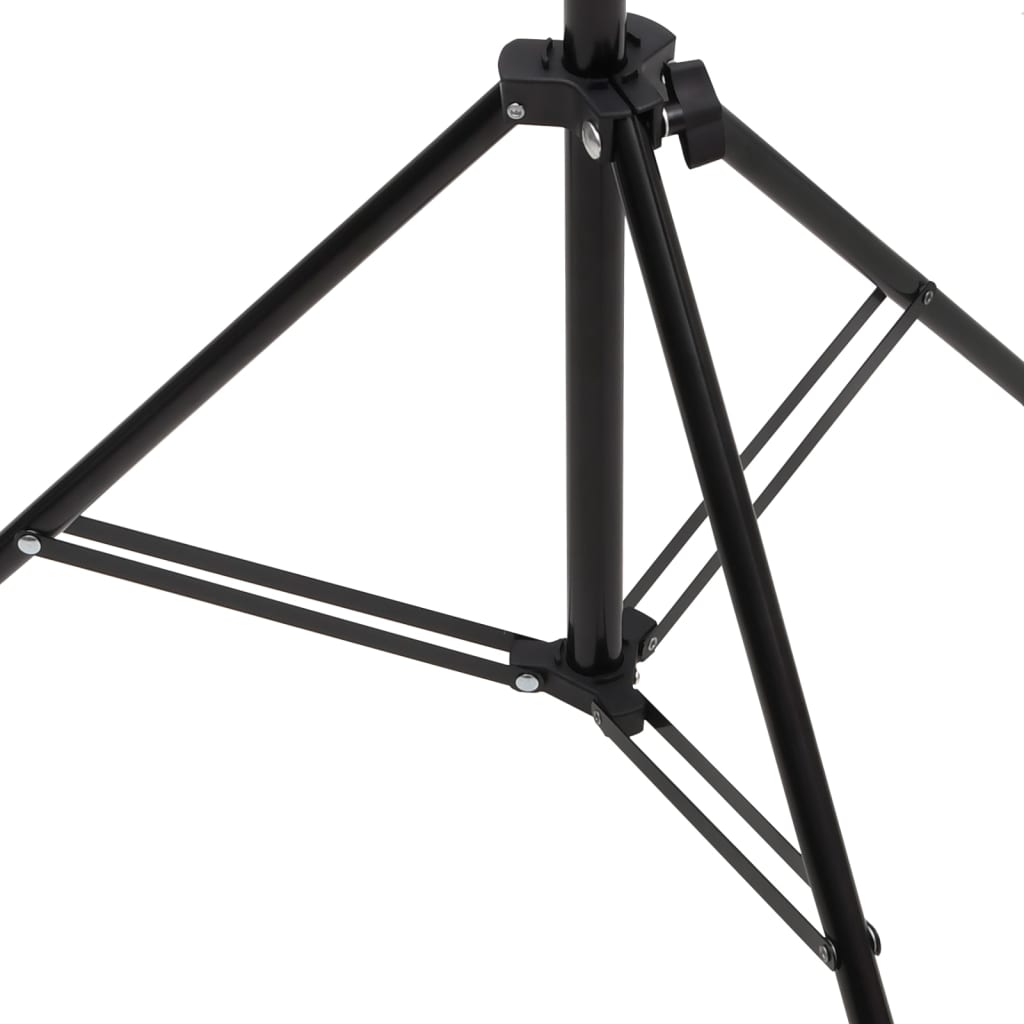 Stalak za pozadinu u obliku slova T crni 201x60x(70-200) cm
