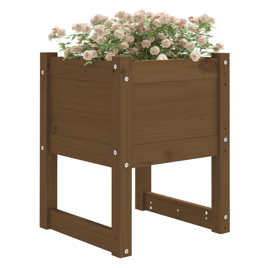 Sadilica boja meda 40x40x52,5 cm od masivne borovine