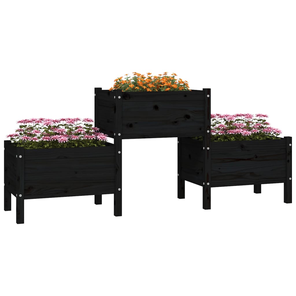 Sadilica crna 178,5 x 44 x 75 cm od masivne borovine