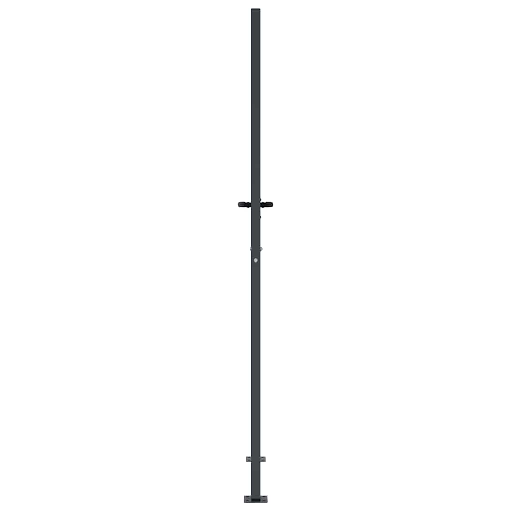 Vrtna vrata antracit 100x175 cm dizajn s čeličnim travom