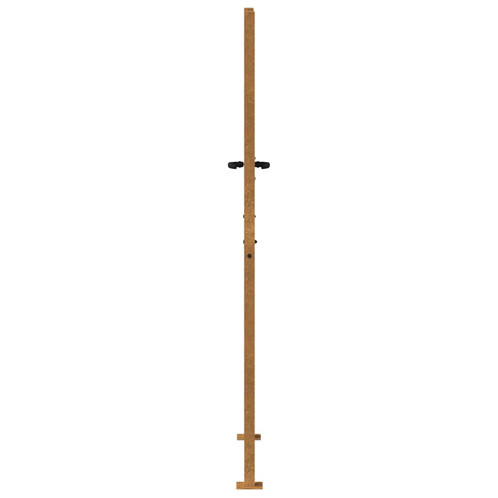 Vrtna vrata 100x175 cm Corten čelik
