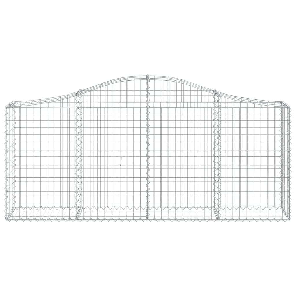 Lučne gabionske košare 40 kom 200x30x80/100cm pocinčano željezo