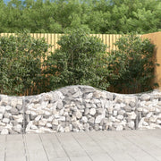 Lučne gabionske košare 12 kom 200x50x60/80 cm pocinčano željezo