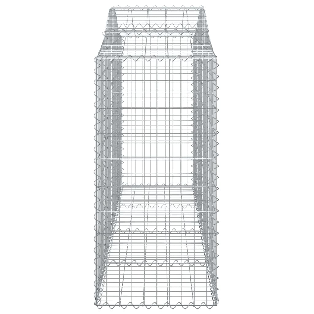 Lučne gabionske košare 40kom 200x50x120/140cm pocinčano željezo