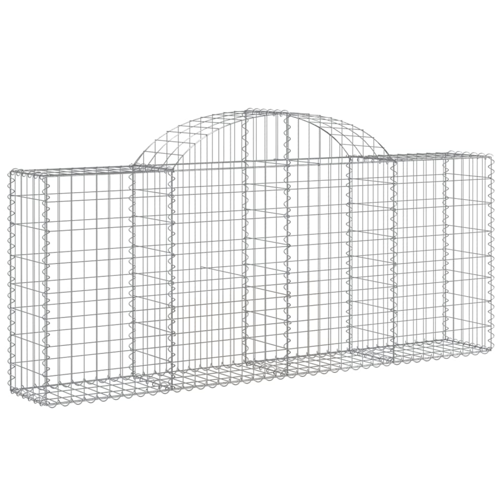 Lučne gabionske košare 40 kom 200x30x80/100cm pocinčano željezo