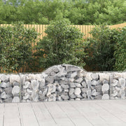 Lučne gabionske košare 20 kom 200x50x60/80 cm pocinčano željezo