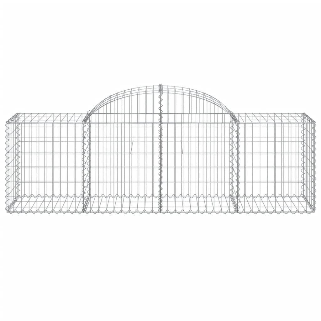 Lučne gabionske košare 40 kom 200x50x60/80 cm pocinčano željezo