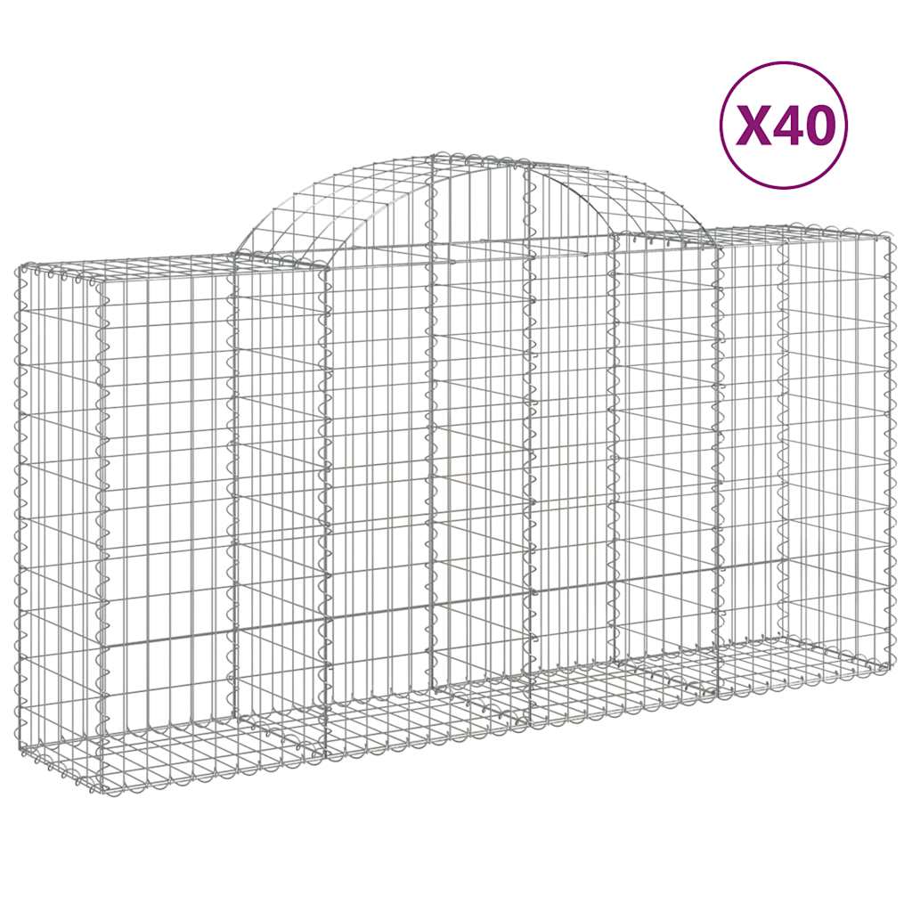 Lučne gabionske košare 40kom 200x50x100/120cm pocinčano željezo