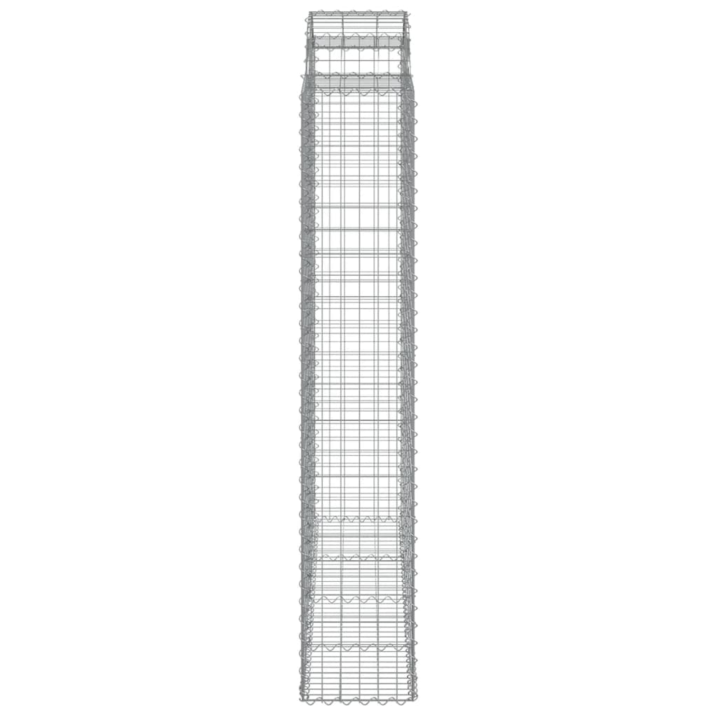 Lučne gabionske košare 2 kom 200x50x220/240cm pocinčano željezo