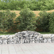 Lučne gabionske košare 2 kom 300x50x40/60 cm pocinčano željezo