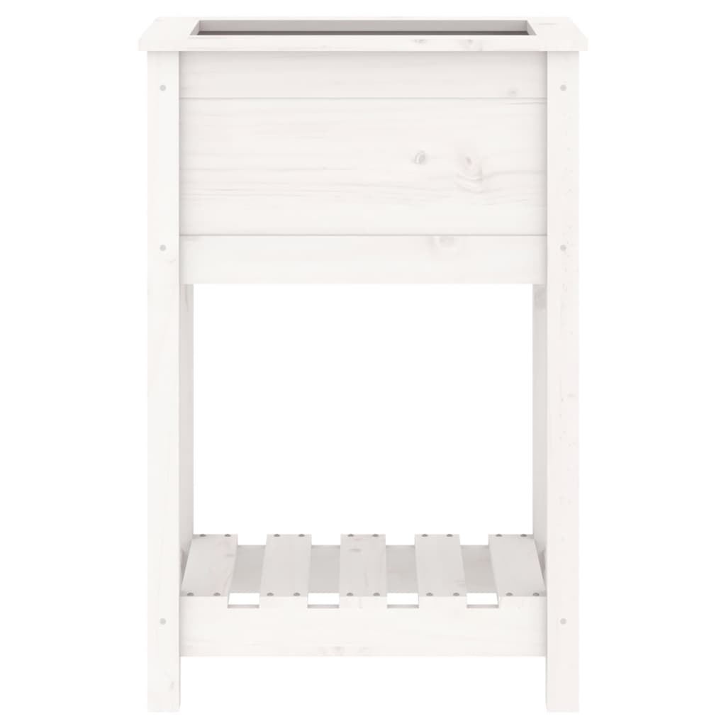 Sadilica s policom bijela 54 x 34,5 x 81 cm od masivne borovine