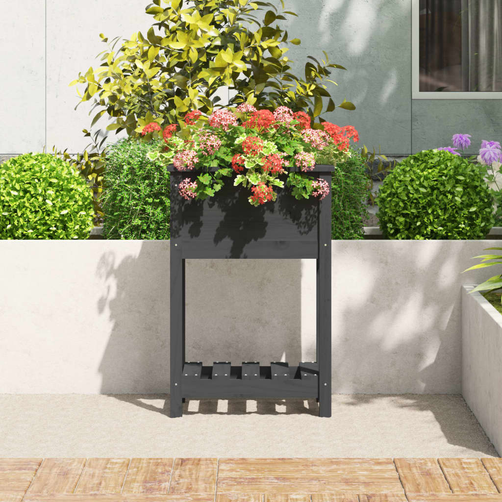 Sadilica s policom siva 54 x 34,5 x 81 cm od masivne borovine