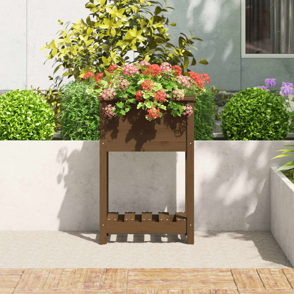 Sadilica s policom boja meda 54x34,5x81 cm od masivne borovine