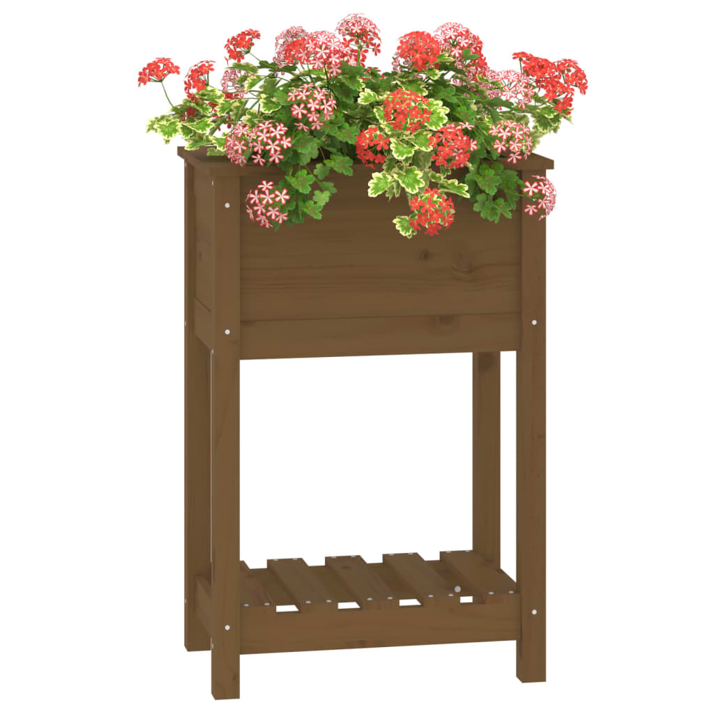 Sadilica s policom boja meda 54x34,5x81 cm od masivne borovine