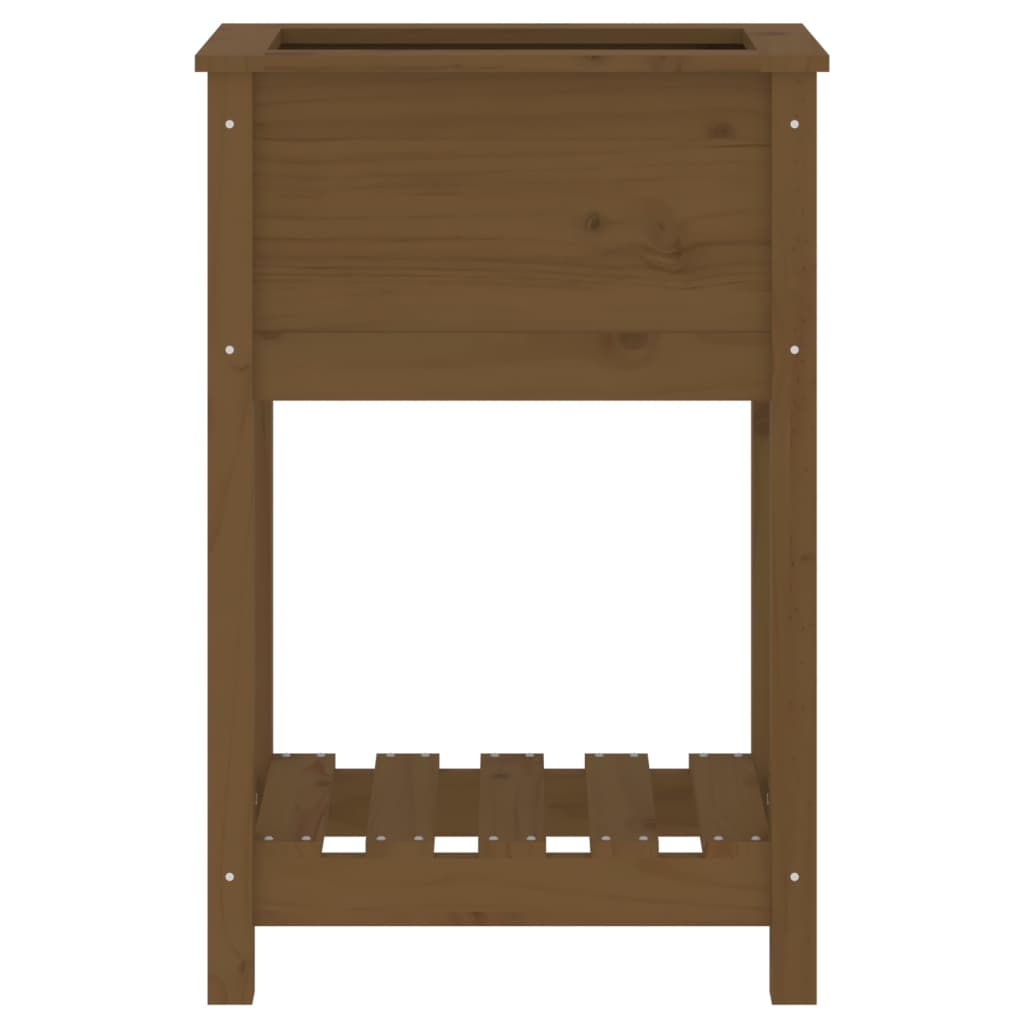 Sadilica s policom boja meda 54x34,5x81 cm od masivne borovine
