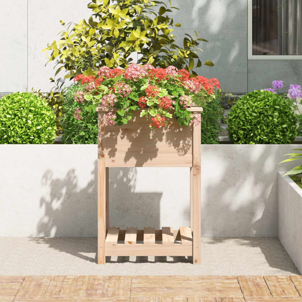 Sadilica s policom 54x54x81 cm od masivne borovine